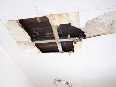 About water damage cleanup - ceiling water damage repair experts in Nokomis