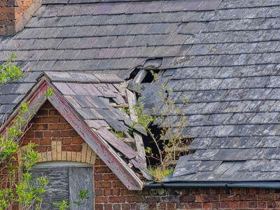 Professional ceiling water damage repair services in Nokomis - water damage cleanup